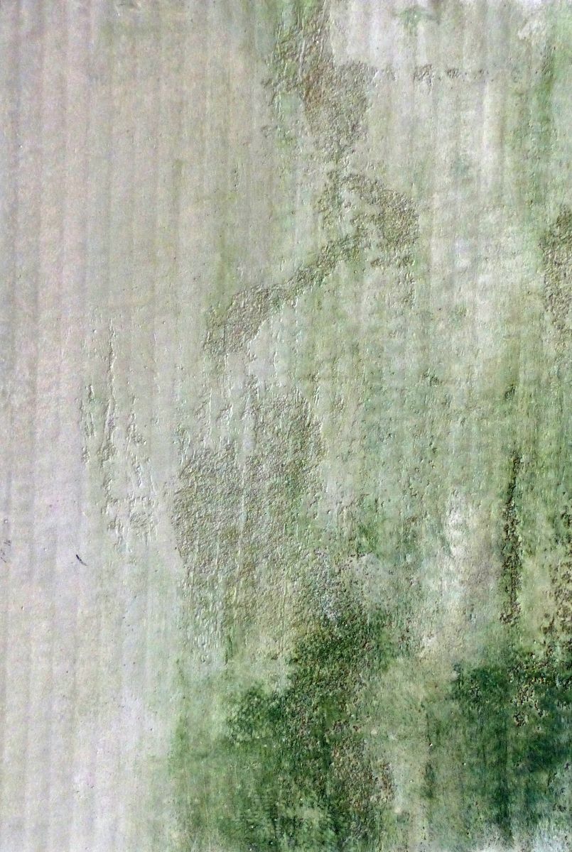 Konstanze Müller-Kitti, o.T. (aus: SoDA), 2014