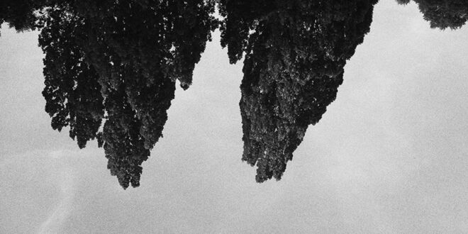 Karin Rasper “Echokammer”, 2012 – 2021/2022