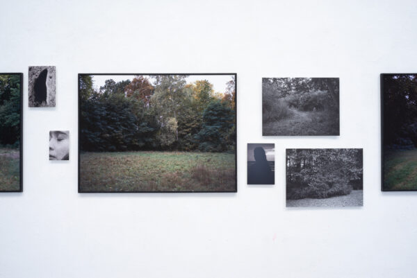 An einer weißen Wand sind mehrere gerahmte Fotografien zu sehen, darunter Farb- und Schwarz-Weiß-Aufnahmen von Landschaften und Teilporträts. (KI-generierte Beschreibung)