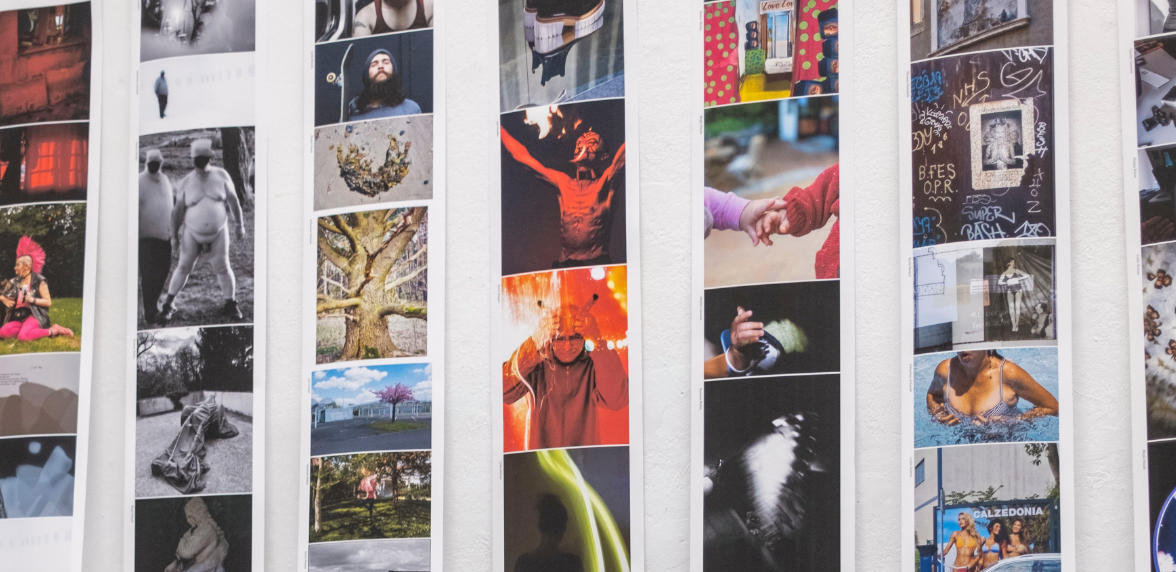 Eine Collage aus verschiedenen Fotografien auf vertikalen weißen Tafeln, die Porträts, Natur, Graffiti, Tiere und Straßenszenen zeigen. (KI-generierte Beschreibung)